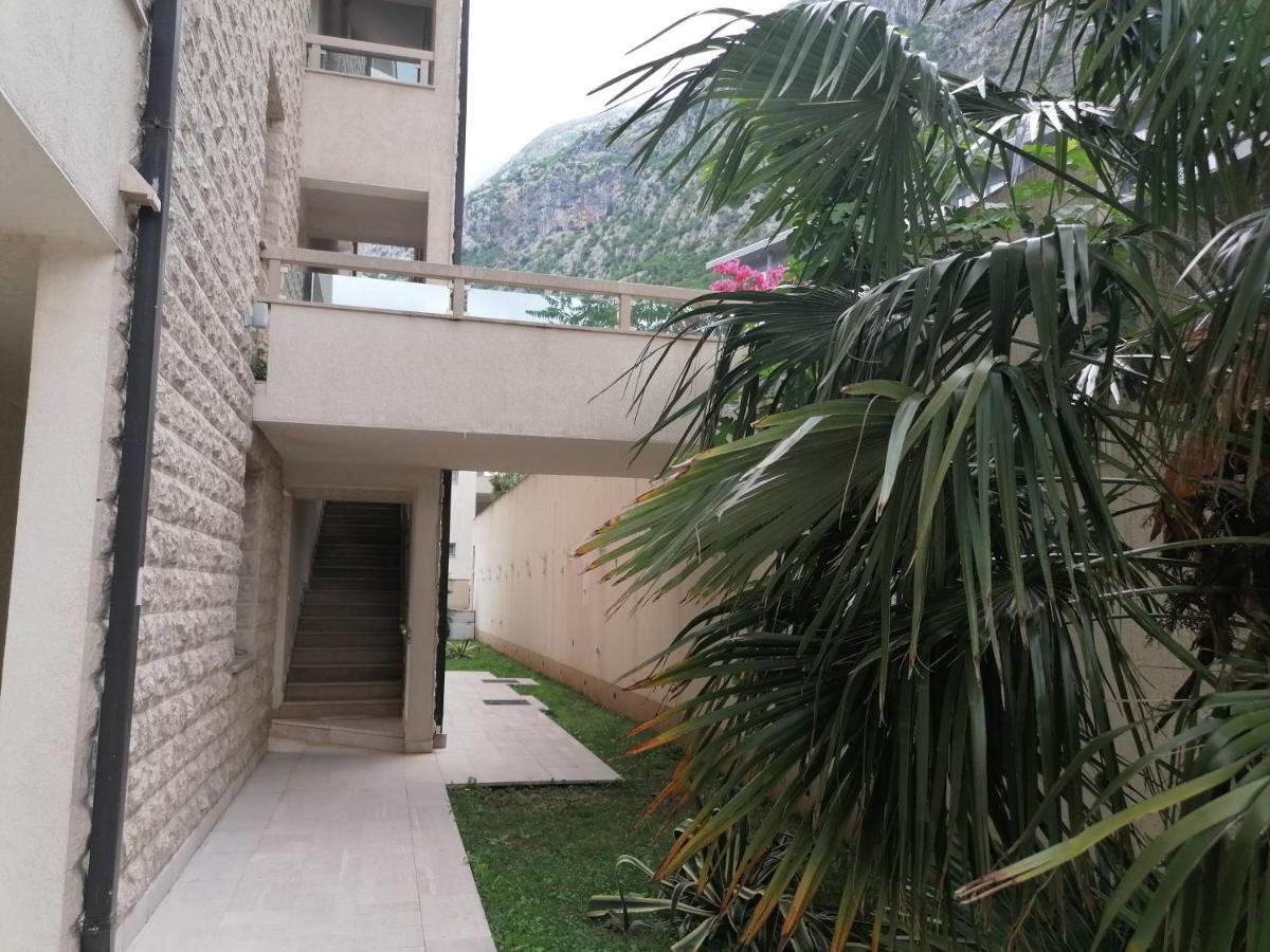 Villa Milla Kotor Exteriér fotografie